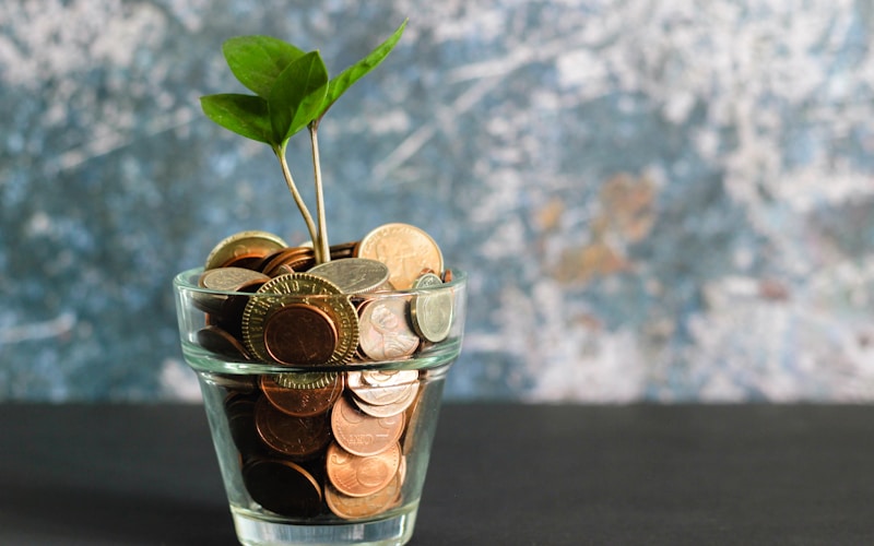 BPA's Commitment to Financial Literacy and Economic Education for Student Success